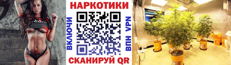 Купить наркотики цена Приозерск Alpha-PVP Мефедрон Гашиш АМФ Каннабис